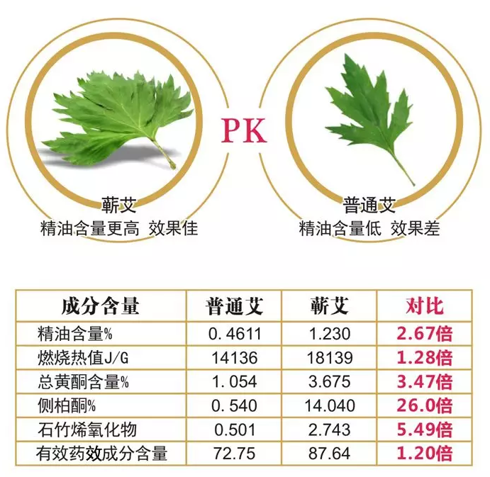 艾叶和蒿枝的区别图片图片