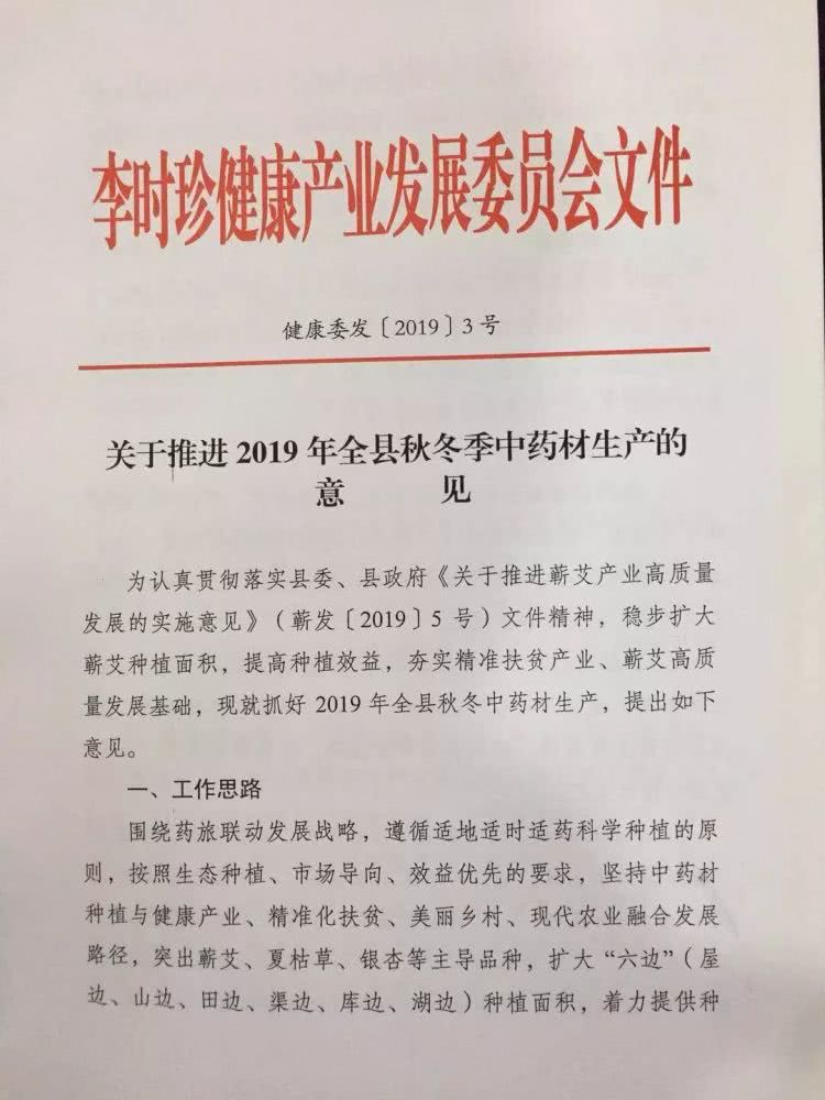 湖北蕲春蕲艾种植又增新补贴，每亩400元！