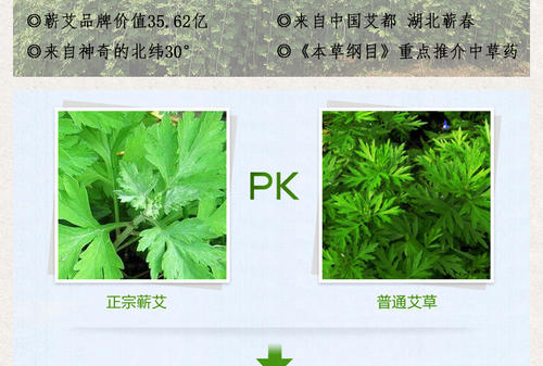 我国首个蕲艾绒分级质量标准化获批成功